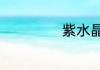 紫水晶代表的意思