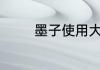 墨子使用大招后再使用辉月