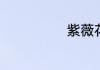 紫薇花语和寓意