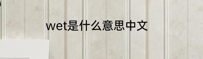 wet是什么意思中文