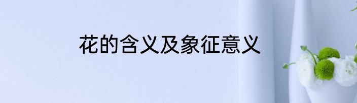 花的含义及象征意义