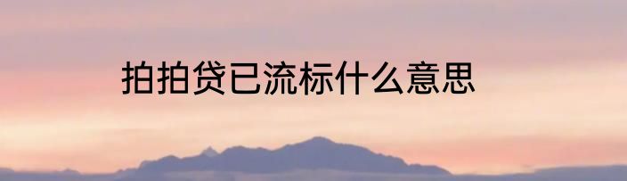 拍拍贷已流标什么意思