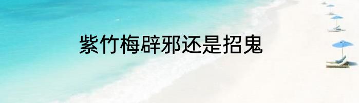 紫竹梅辟邪还是招鬼