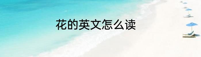 花的英文怎么读