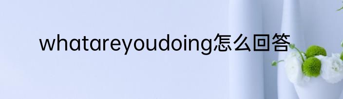 whatareyoudoing怎么回答