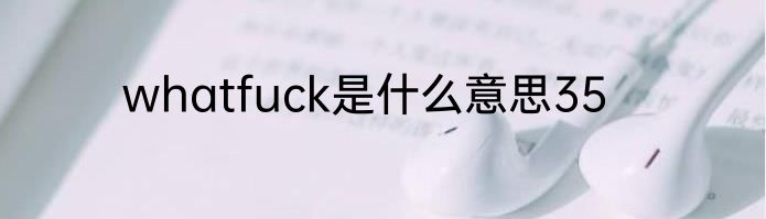whatfuck是什么意思35