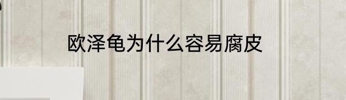 欧泽龟为什么容易腐皮