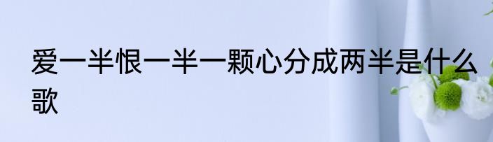 爱一半恨一半一颗心分成两半是什么歌