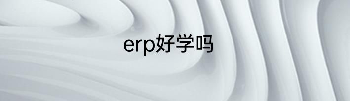 erp好学吗