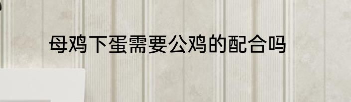 母鸡下蛋需要公鸡的配合吗
