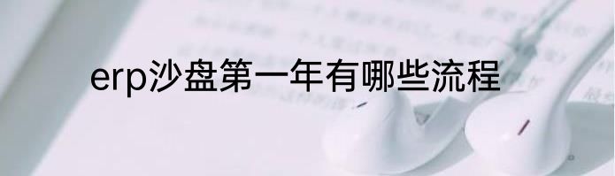 erp沙盘第一年有哪些流程
