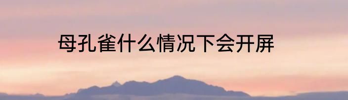 母孔雀什么情况下会开屏