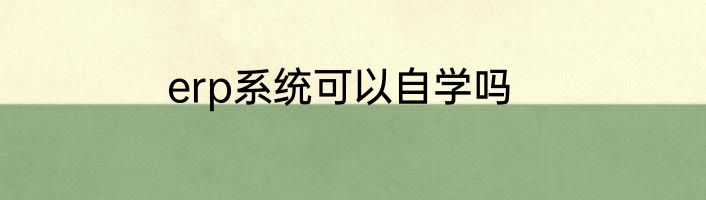 erp系统可以自学吗