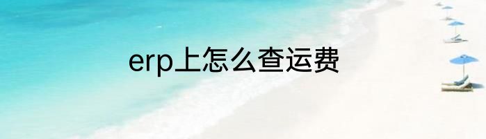 erp上怎么查运费