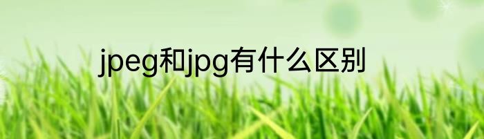 jpeg和jpg有什么区别