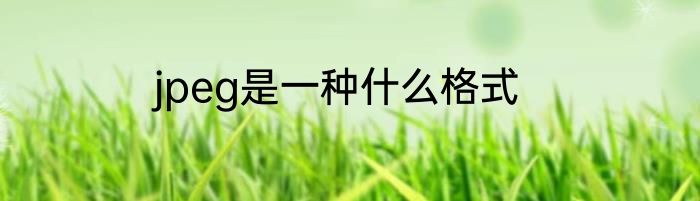 jpeg是一种什么格式