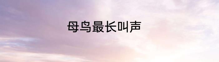 母鸟最长叫声
