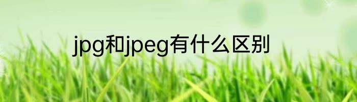 jpg和jpeg有什么区别
