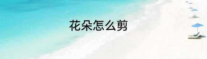 花朵怎么剪