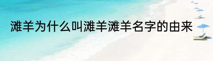 滩羊为什么叫滩羊滩羊名字的由来