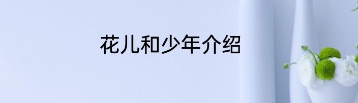 花儿和少年介绍