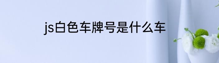 js白色车牌号是什么车