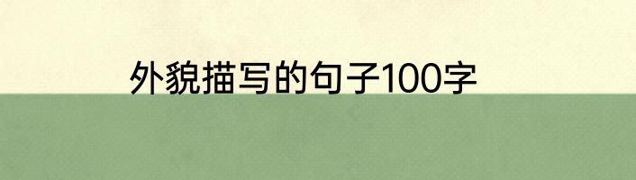 外貌描写的句子100字