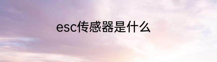 esc传感器是什么