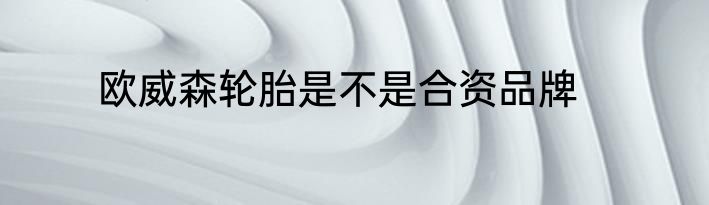 欧威森轮胎是不是合资品牌