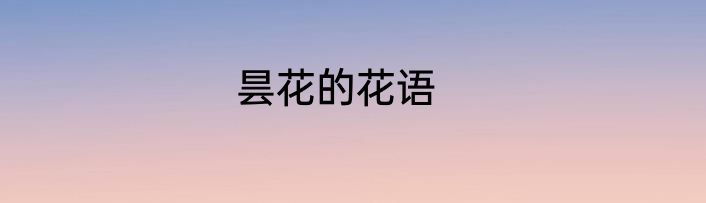昙花的花语