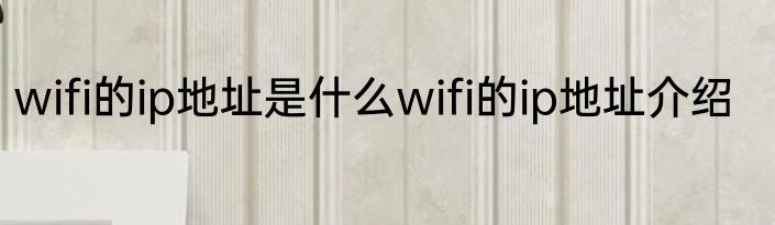 wifi的ip地址是什么wifi的ip地址介绍