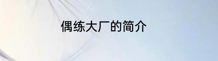 偶练大厂的简介