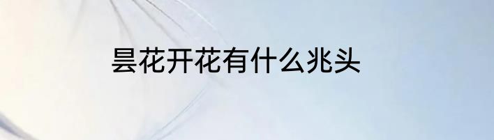 昙花开花有什么兆头