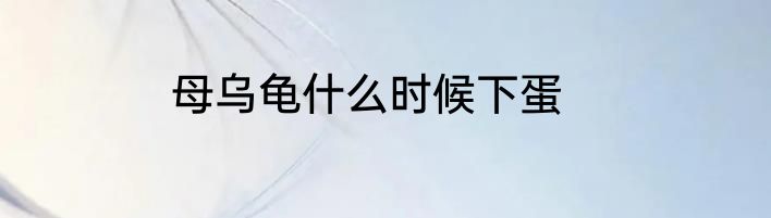 母乌龟什么时候下蛋