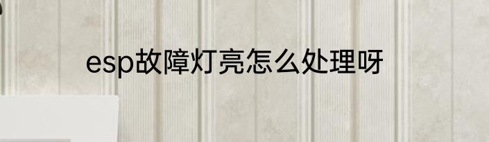 esp故障灯亮怎么处理呀
