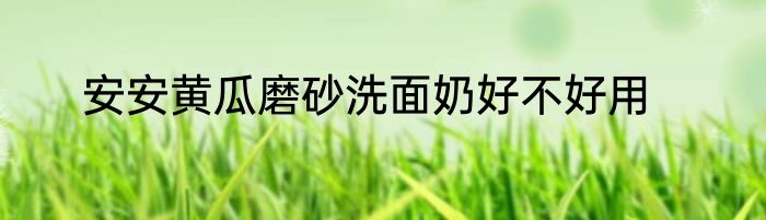 安安黄瓜磨砂洗面奶好不好用