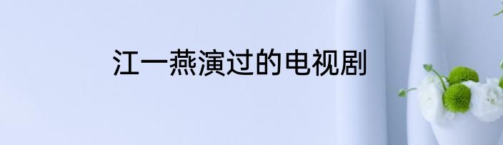 江一燕演过的电视剧
