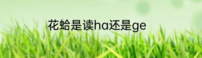 花蛤是读ha还是ge