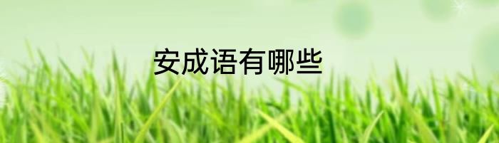 安成语有哪些