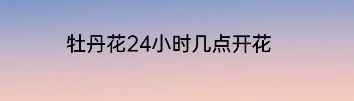 牡丹花24小时几点开花