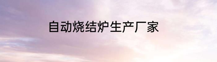 自动烧结炉生产厂家