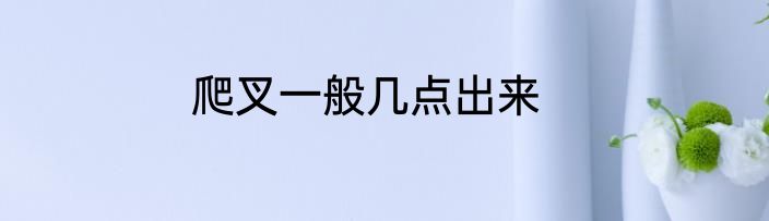 爬叉一般几点出来