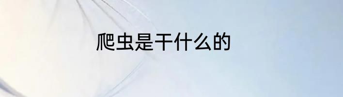 爬虫是干什么的