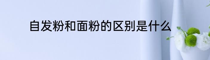 自发粉和面粉的区别是什么