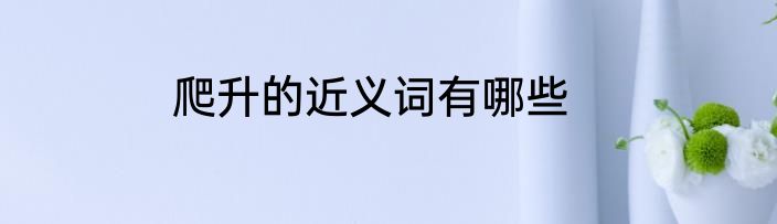 爬升的近义词有哪些