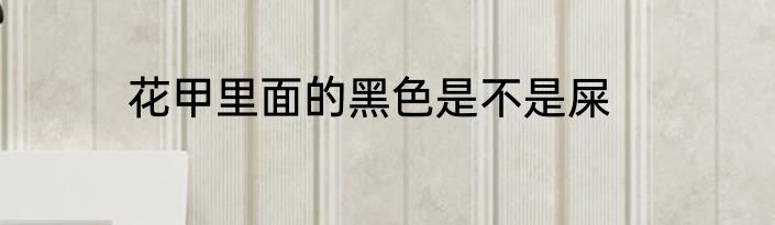 花甲里面的黑色是不是屎