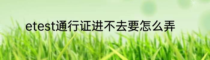 etest通行证进不去要怎么弄