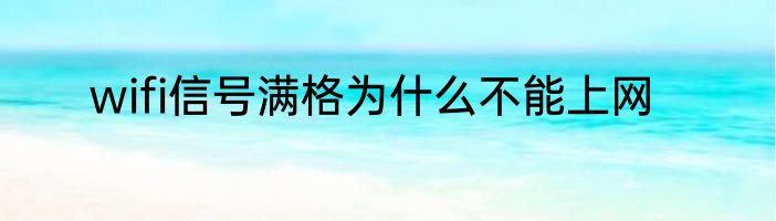 wifi信号满格为什么不能上网