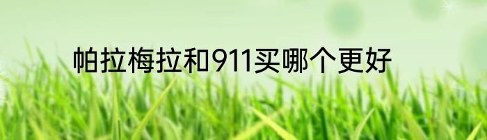 帕拉梅拉和911买哪个更好