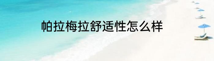 帕拉梅拉舒适性怎么样